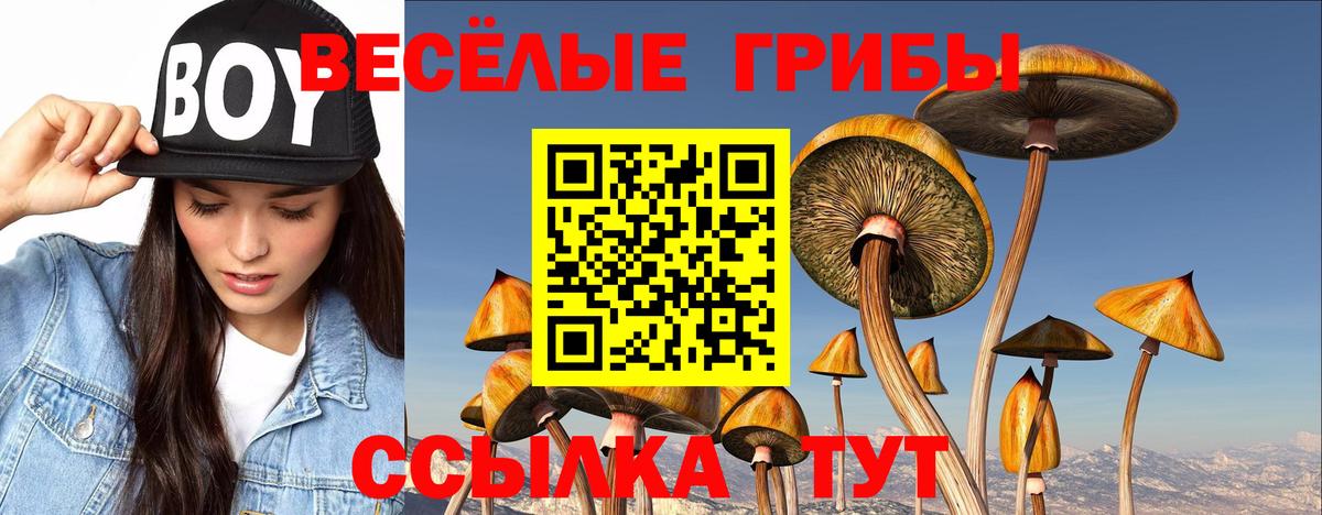 Галлюциногенные грибы Psilocybine cubensis  Вход с VPN  Михайловка 